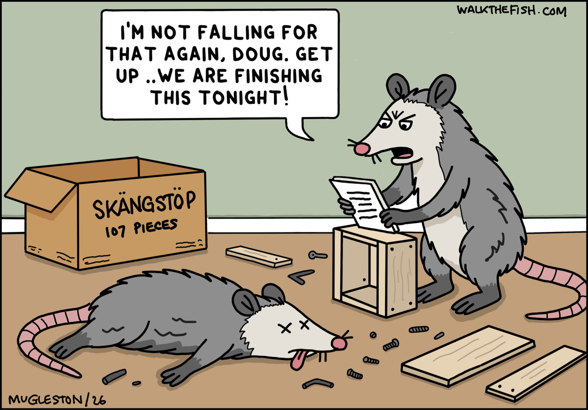 Two opossums assembling IKEA-style furniture labeled &ldquo;Sk&auml;ngst&ouml;p &ndash; 107 pieces.&rdquo; One opossum angrily reads the instructions while the other lies on the floor with X&rsquo;s for eyes, surrounded by scattered screws and wood panels.