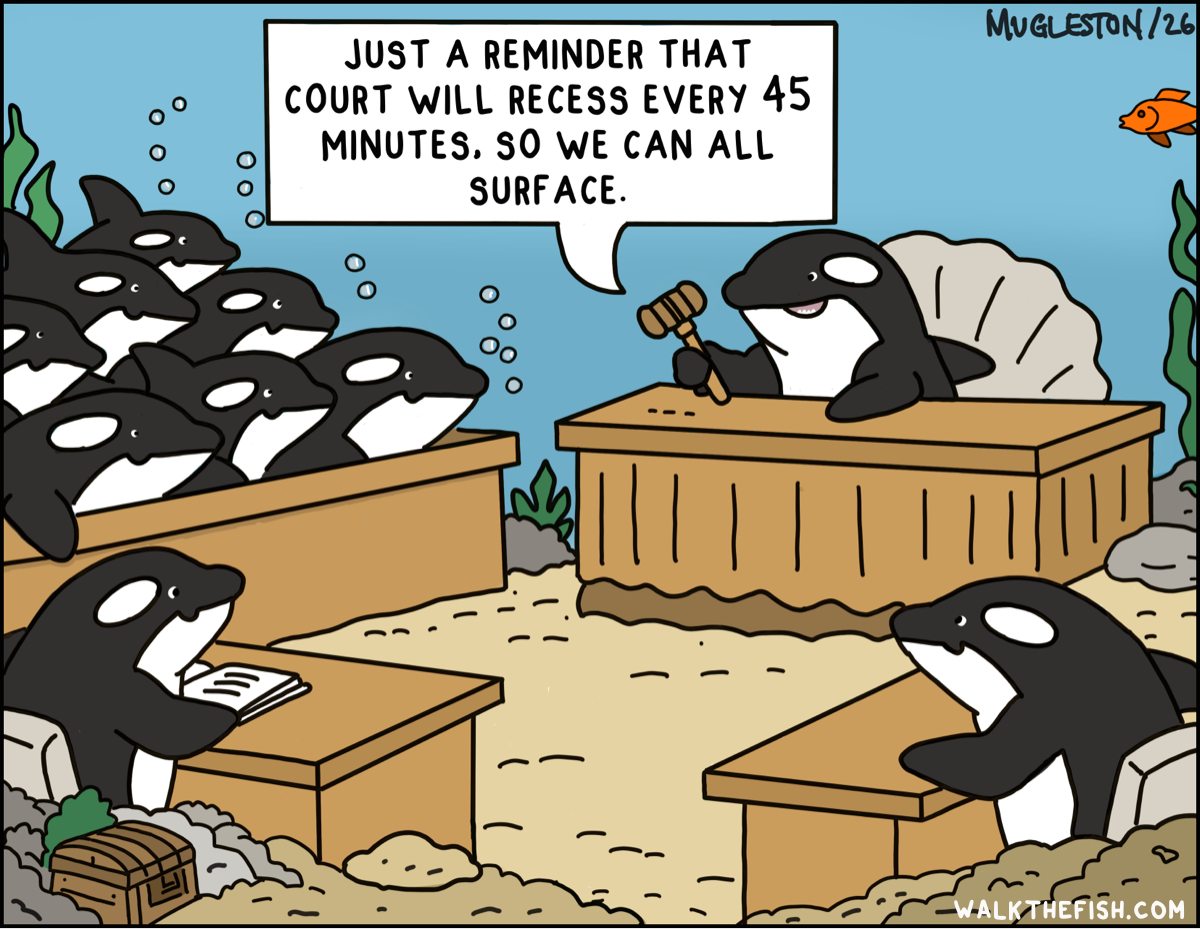 Underwater courtroom filled with orcas acting as judge, lawyers, and jury. The judge announces court recess every 45 minutes so everyone can surface for air.