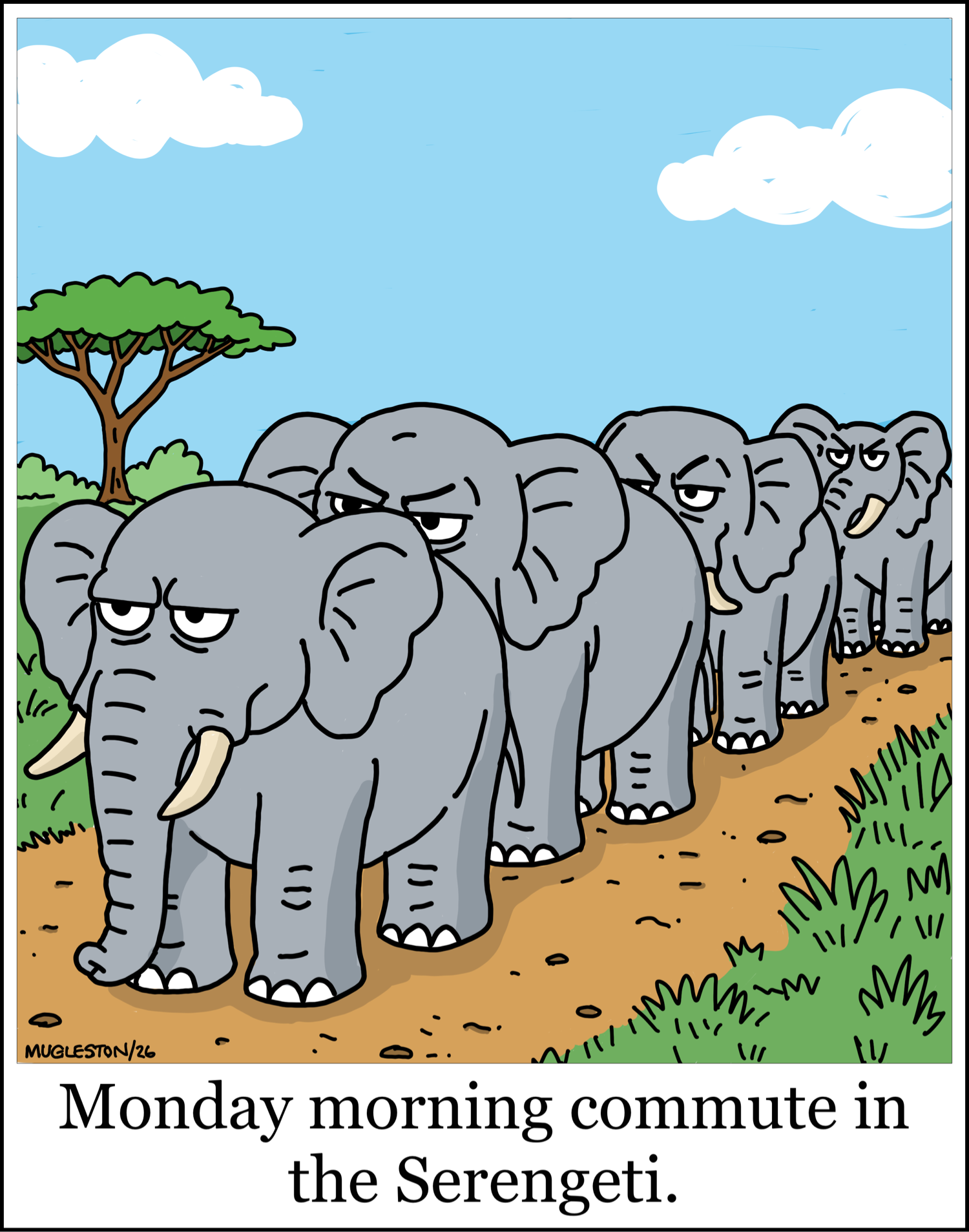 Cartoon of a line of grumpy elephants walking closely together along a dirt path in the savanna, resembling a traffic jam, with the caption about a Monday morning commute in the Serengeti.