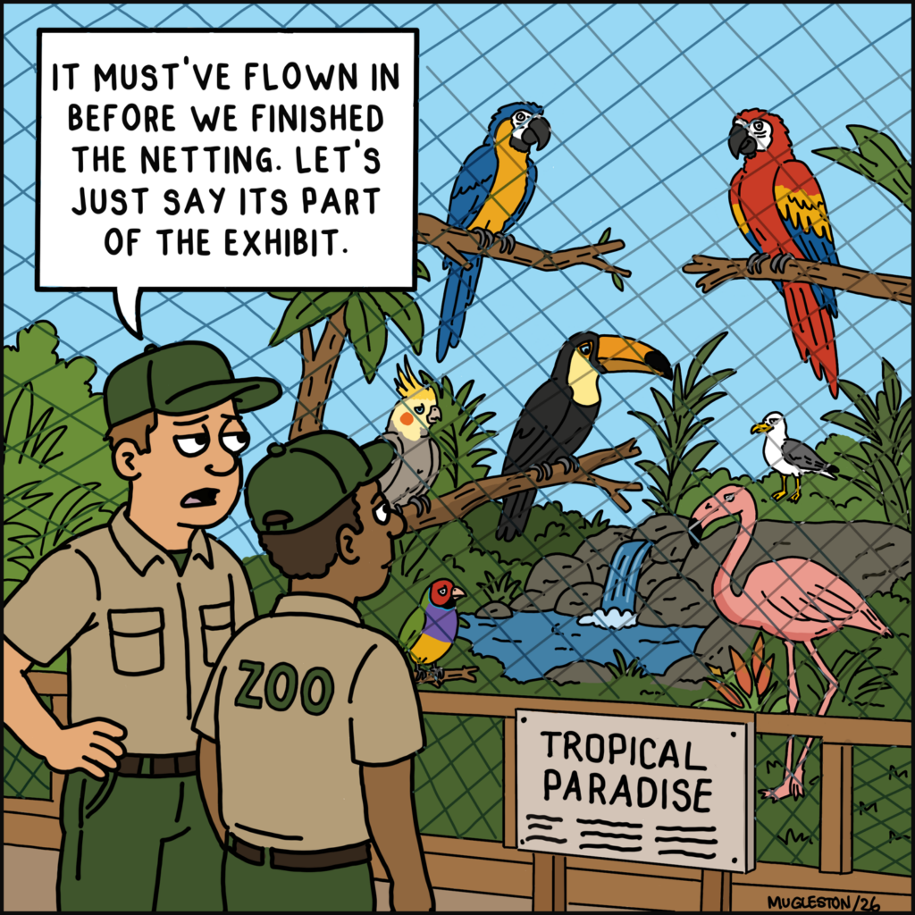 Two zoo workers quietly decide to pretend a random seagull inside the tropical bird enclosure belongs there.