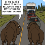 A pair of bison casually block traffic in a national park while enjoying the increasingly angry reactions from tourists trapped behind them.