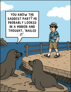 Two judgmental sea lions watch a tourist stroll by in socks and sandals, questioning the confidence required to approve that outfit in the mirror.