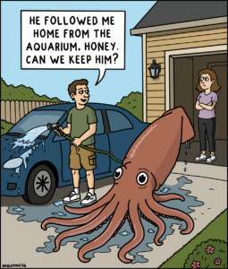 A single-panel cartoon showing a suburban driveway where a man sprays water from a garden hose onto a giant squid sitting beside him. He says, “He followed me home from the aquarium, honey. Can we keep him?” His unimpressed wife stands in the garage doorway with her arms crossed.