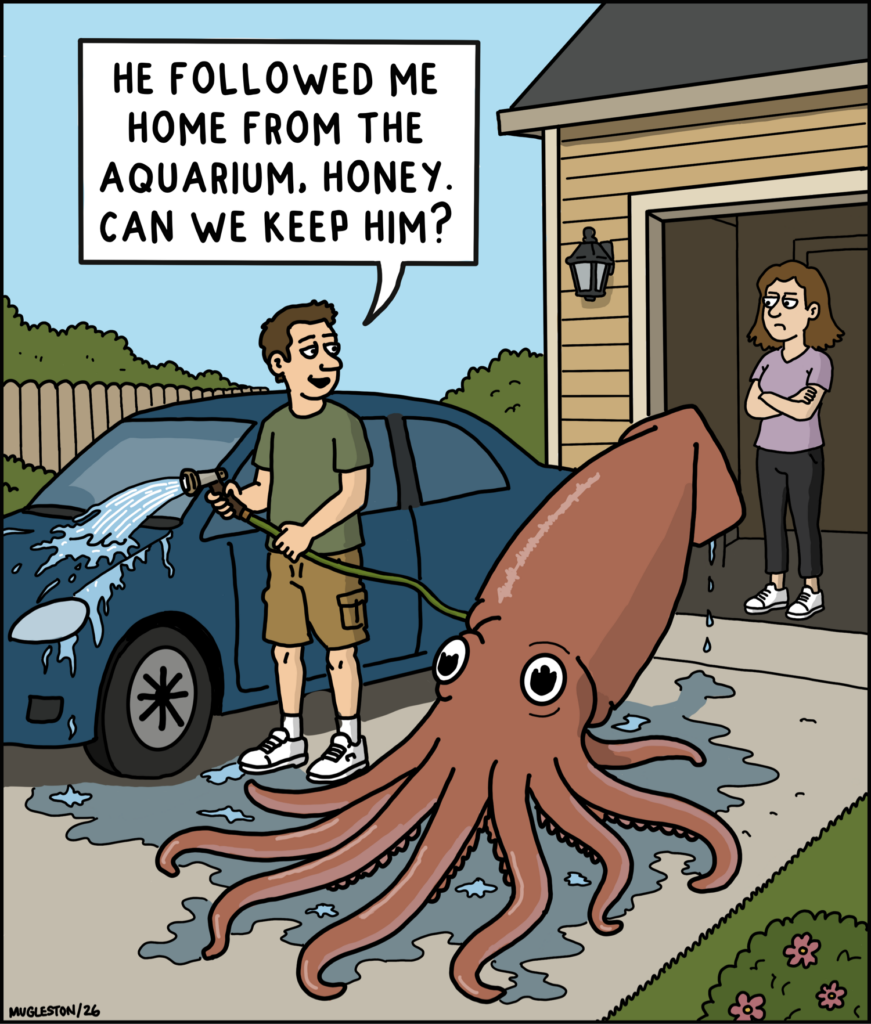 A single-panel cartoon showing a suburban driveway where a man sprays water from a garden hose onto a giant squid sitting beside him. He says, “He followed me home from the aquarium, honey. Can we keep him?” His unimpressed wife stands in the garage doorway with her arms crossed.